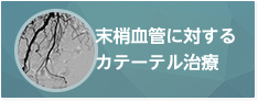 末梢血管に対するカテーテル治療